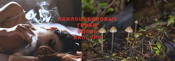 твердый Богородицк