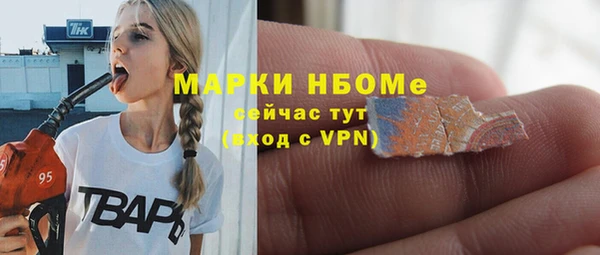 гидра Богородск