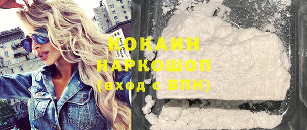 спиды Бородино