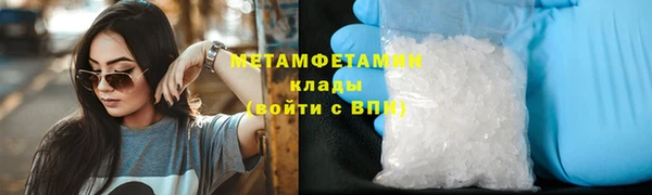 гидра Богородск