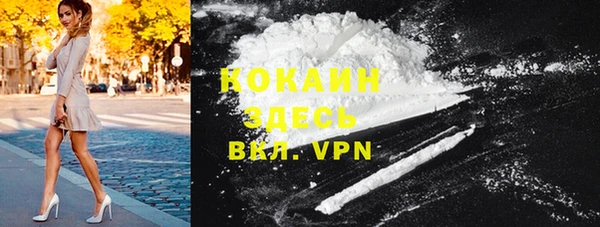 твердый Богородицк