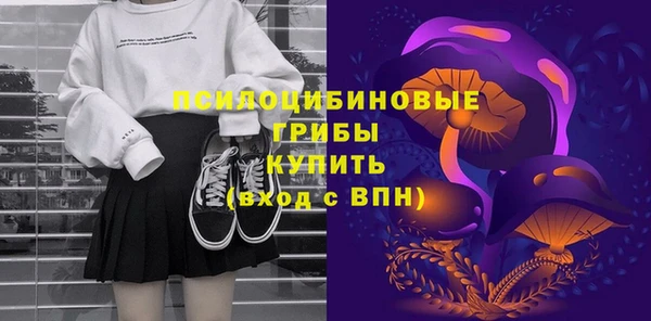 гидра Богородск