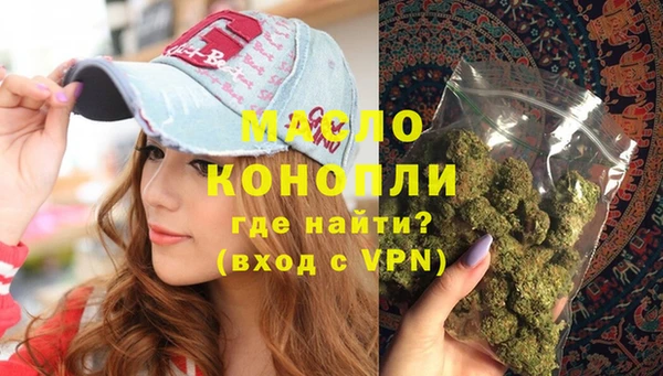 гидра Богородск