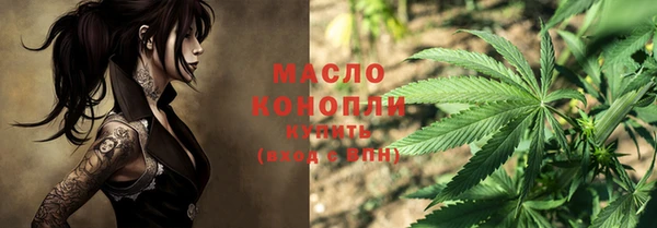спиды Бородино