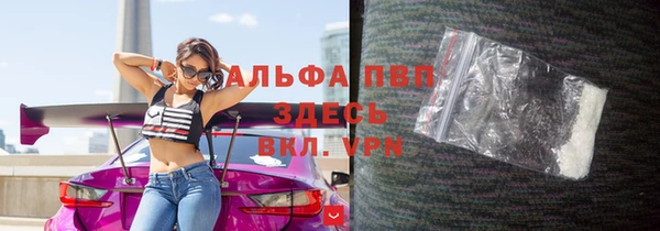 гидра Богородск