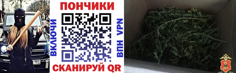 Каннабис сатива  Морозовск 